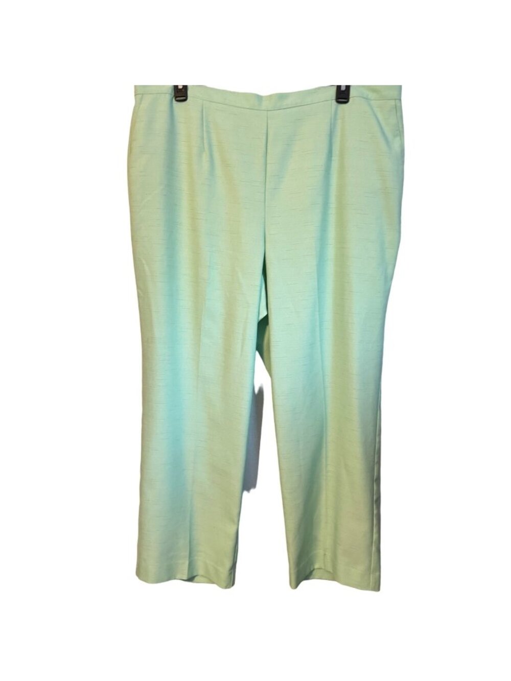 Alfred Dunner Womens Mint Green 24W Polyester Elastic Waist Trousers women pants